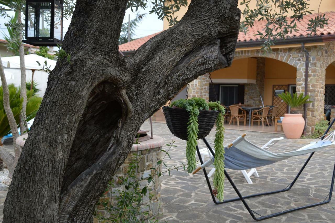 B&B Fasolino Montecorice Exteriör bild